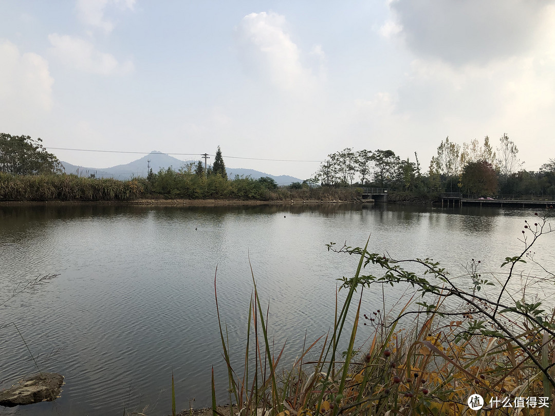 山野-温泉 深秋季拔草美岕