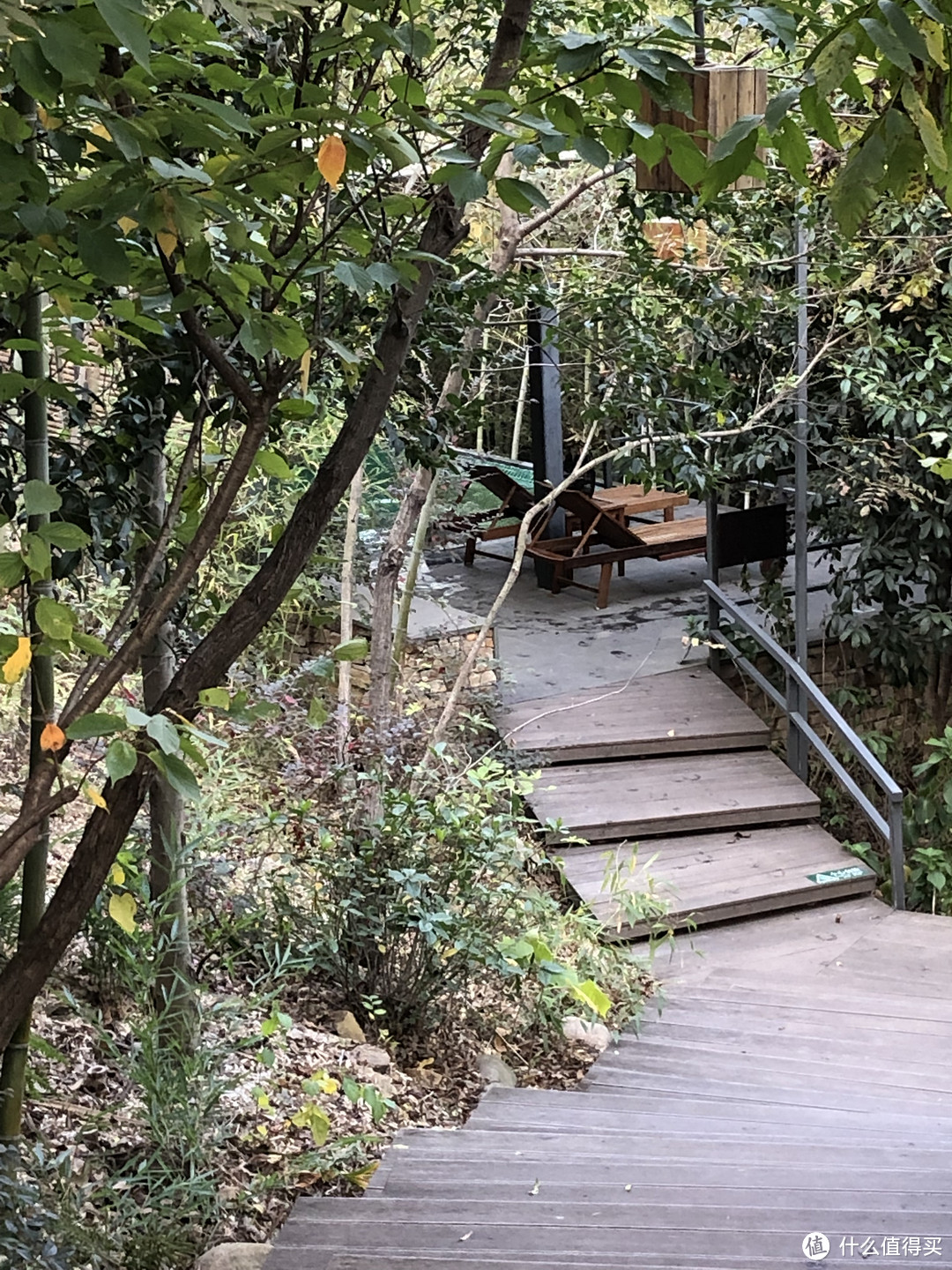 山野-温泉 深秋季拔草美岕