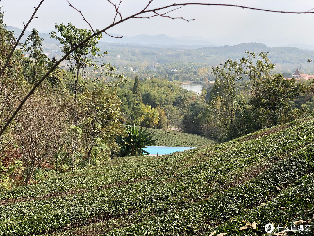 山野-温泉 深秋季拔草美岕