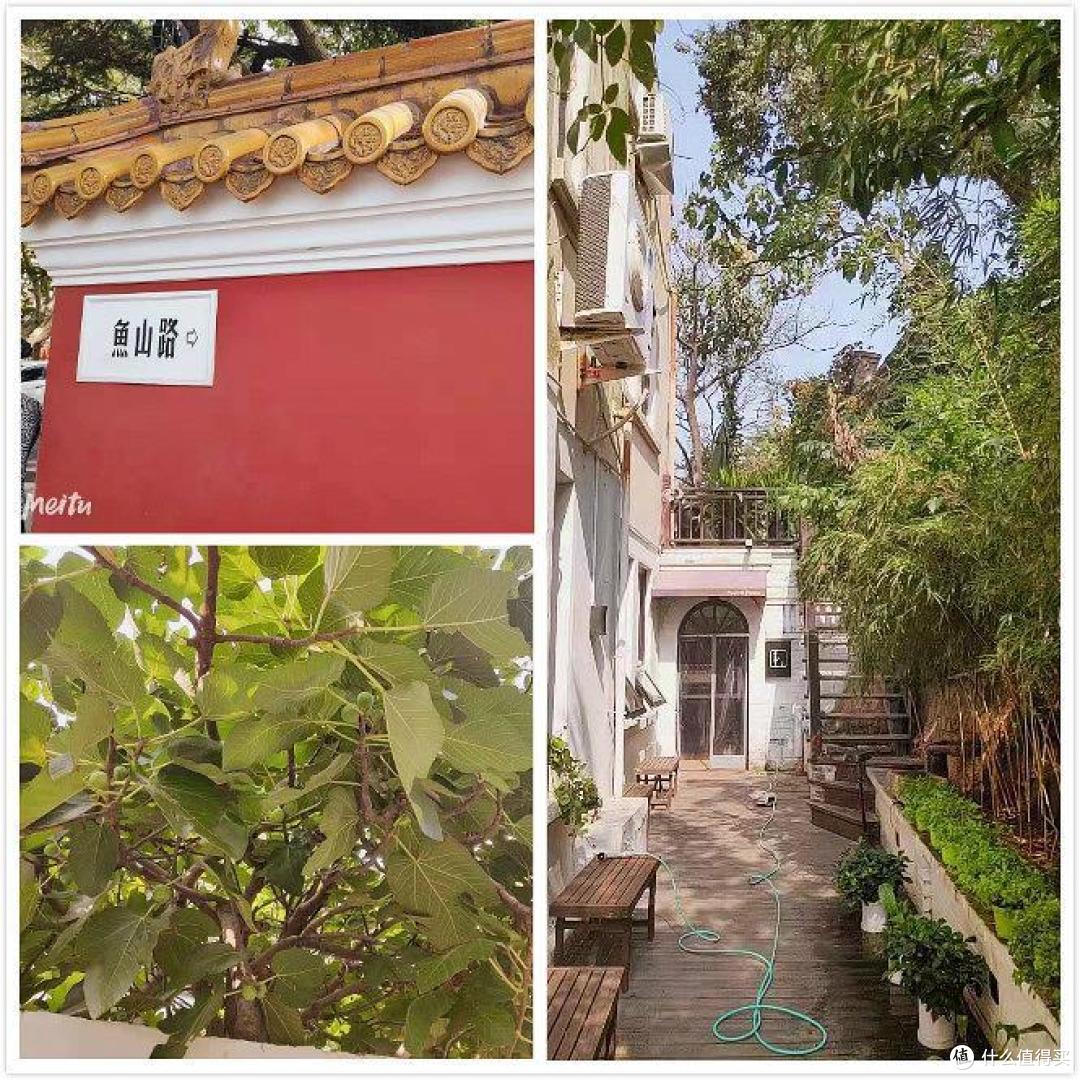 鱼山路&八月小馆