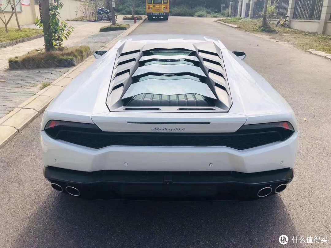 图片来源于网络,侵删