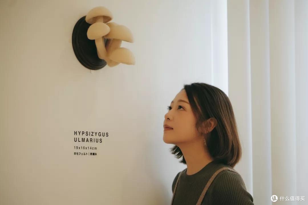 美女艺术家10年潜心纤维艺术，用羊毛毡讲述内心的故事，打动无数人