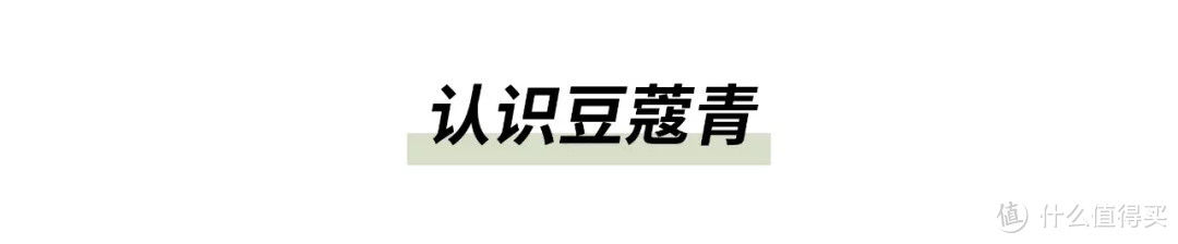 治愈系轻改造 | 给你真实版「向往的生活」