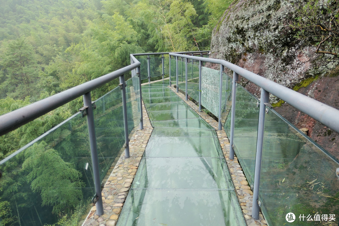 探访革命老区四明山-裘岙玻璃景观台