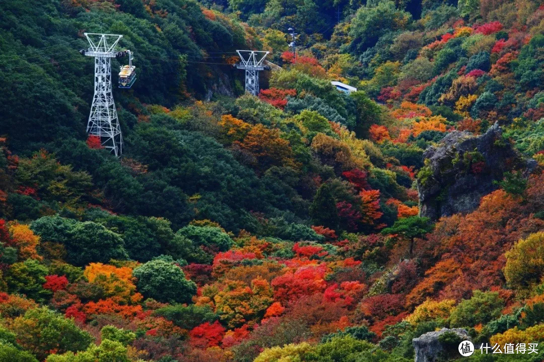 濑户内海小豆岛第二弹 | 请通过交通享受这颗宝藏岛屿！