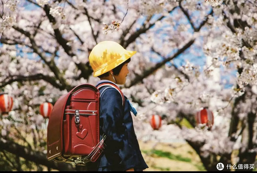 濑户内海小豆岛第二弹 | 请通过交通享受这颗宝藏岛屿！