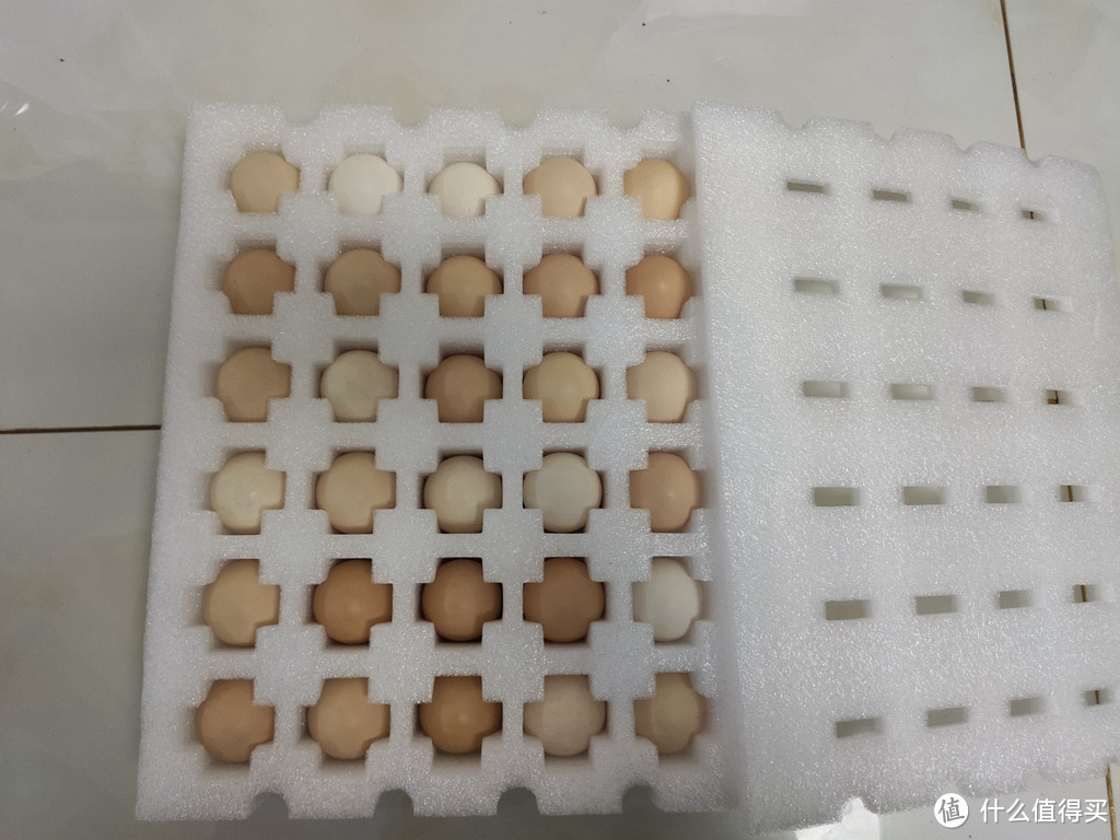 双十一最费运费劵之物非ta莫属——四舍五入接近不要钱的鸡蛋