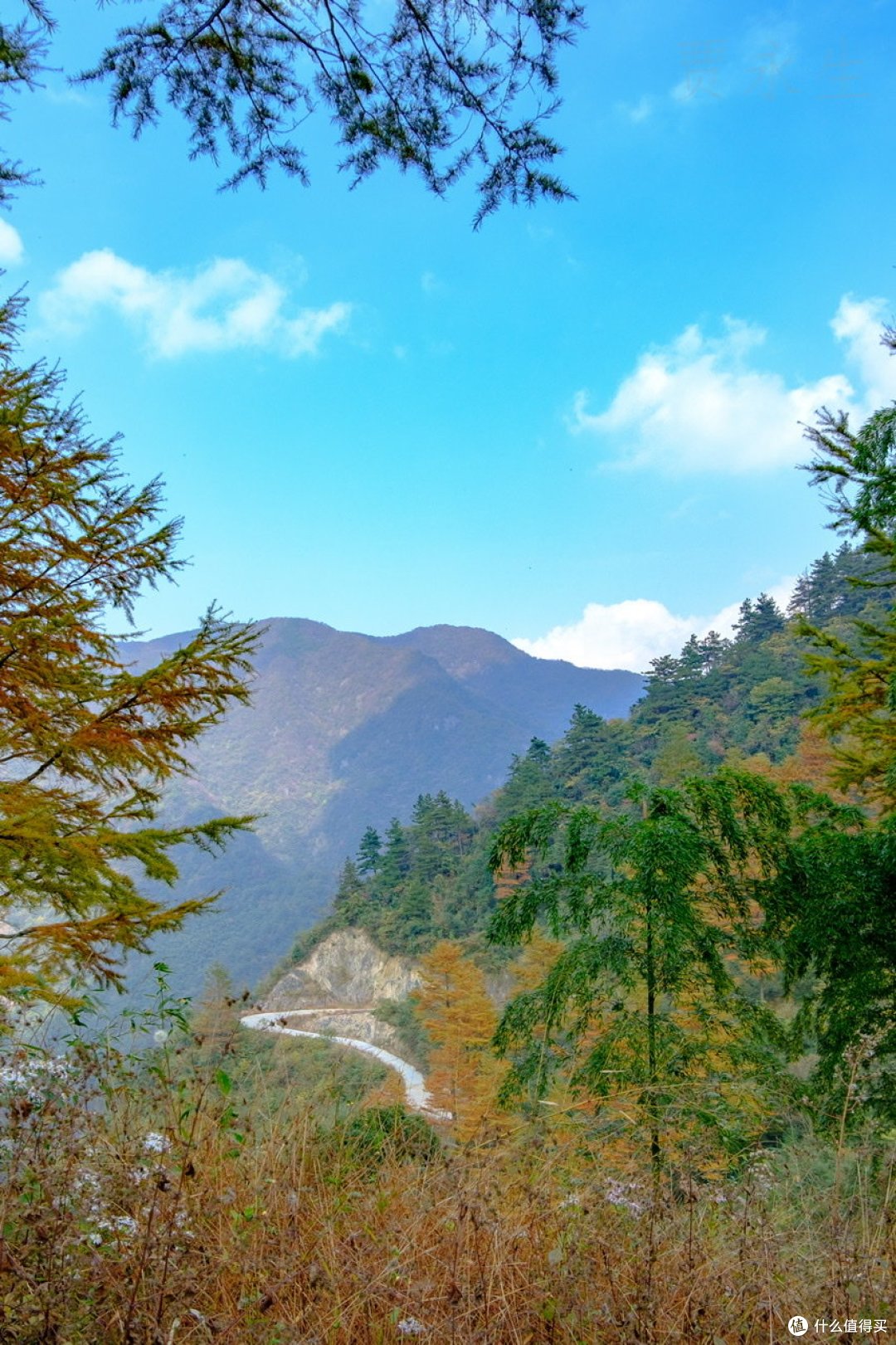 周末游玩之安吉九亩村