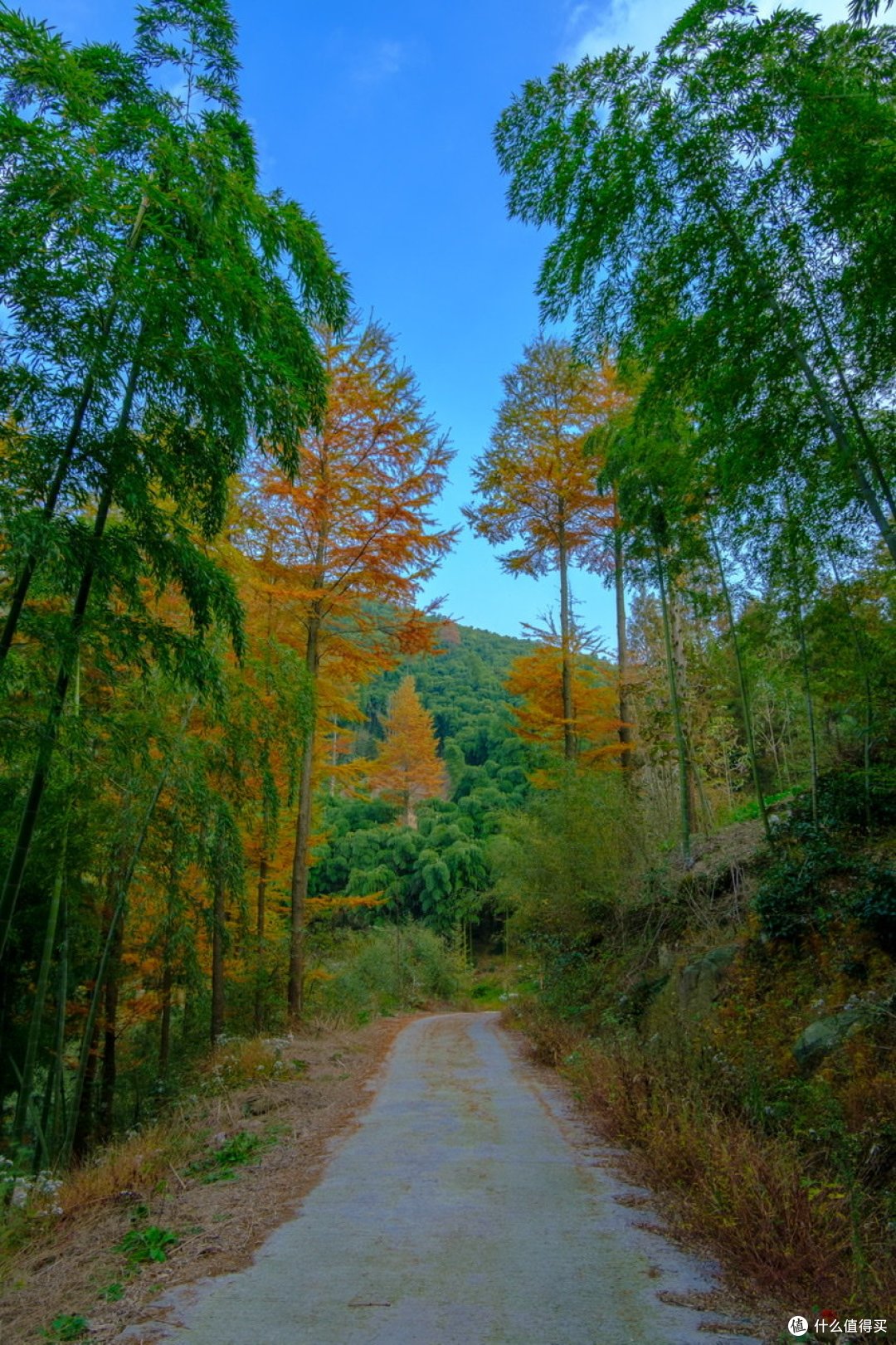 周末游玩之安吉九亩村