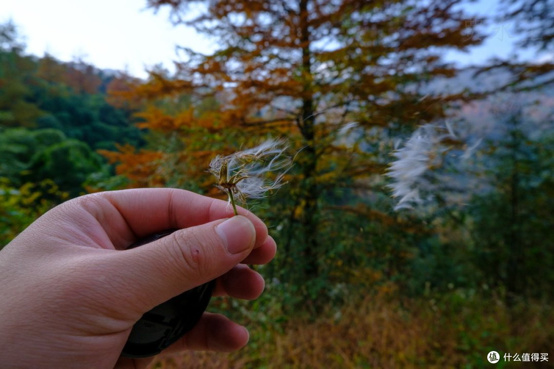 周末游玩之安吉九亩村