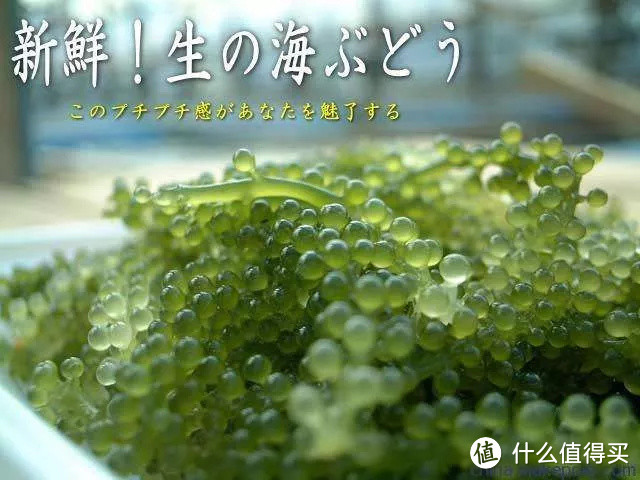 冲绳跳岛实用手册 | 你问我要去向何方,我指着大海的方向!