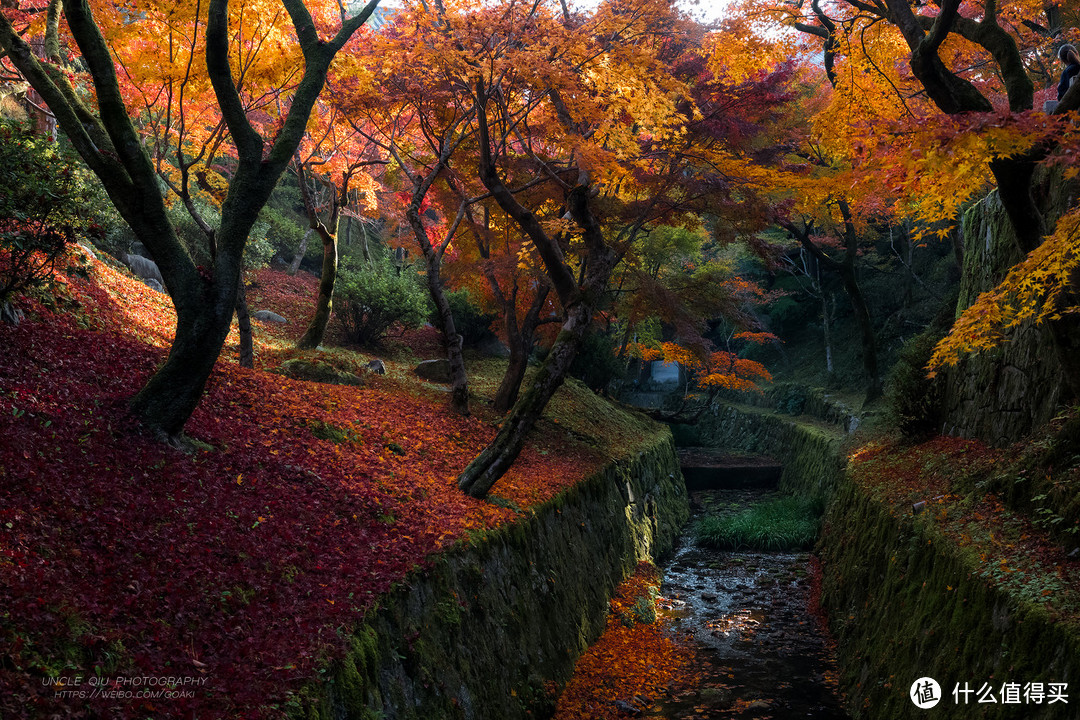 【攻略】四季流转，在秋季的京都遇见红叶狩