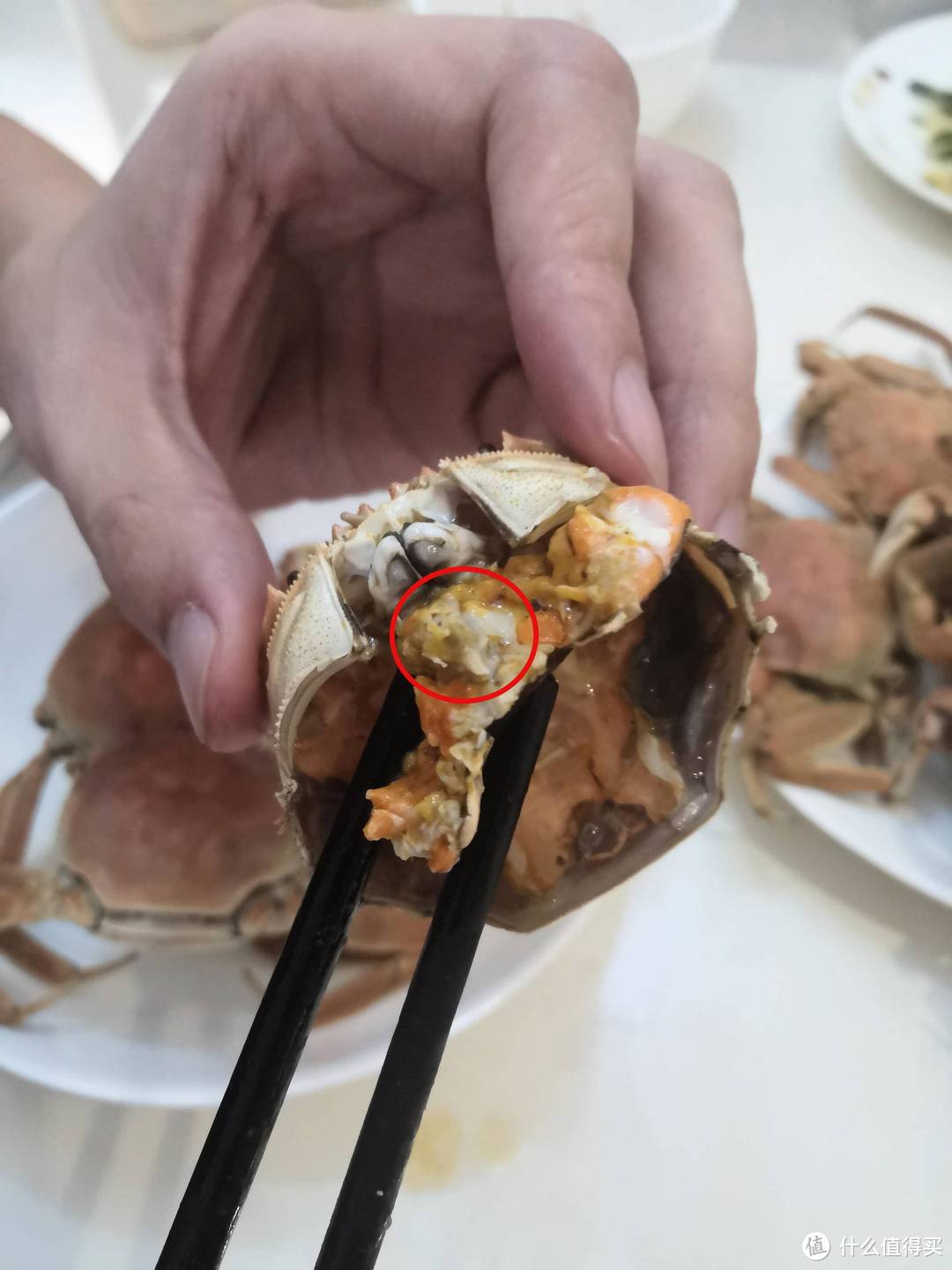 河蟹三吃 | 家传河蟹最鲜美的三种做法，吃河蟹看这一篇就够了
