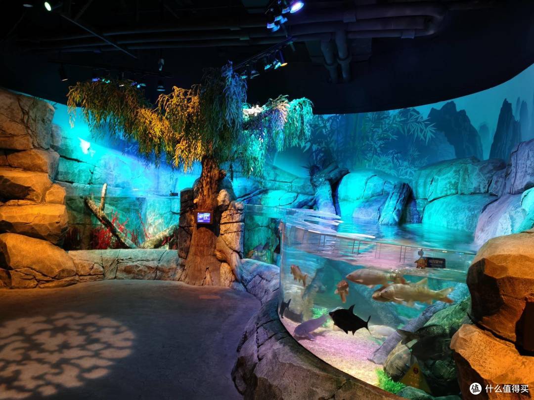 给孩子生动的海洋生物课沈阳海洋探索中心探秘