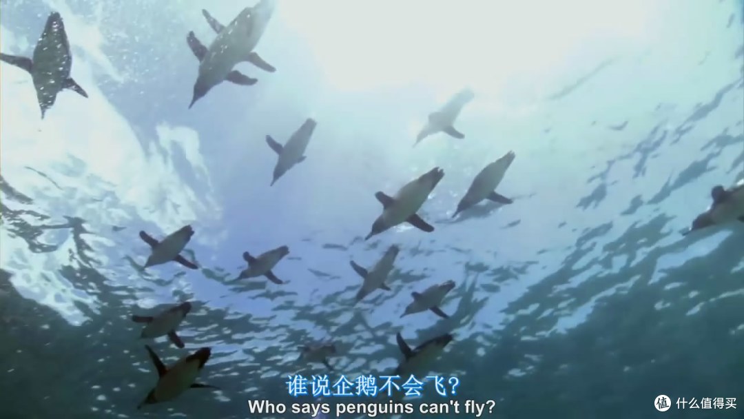 豆瓣高分~不可错过的*级大片