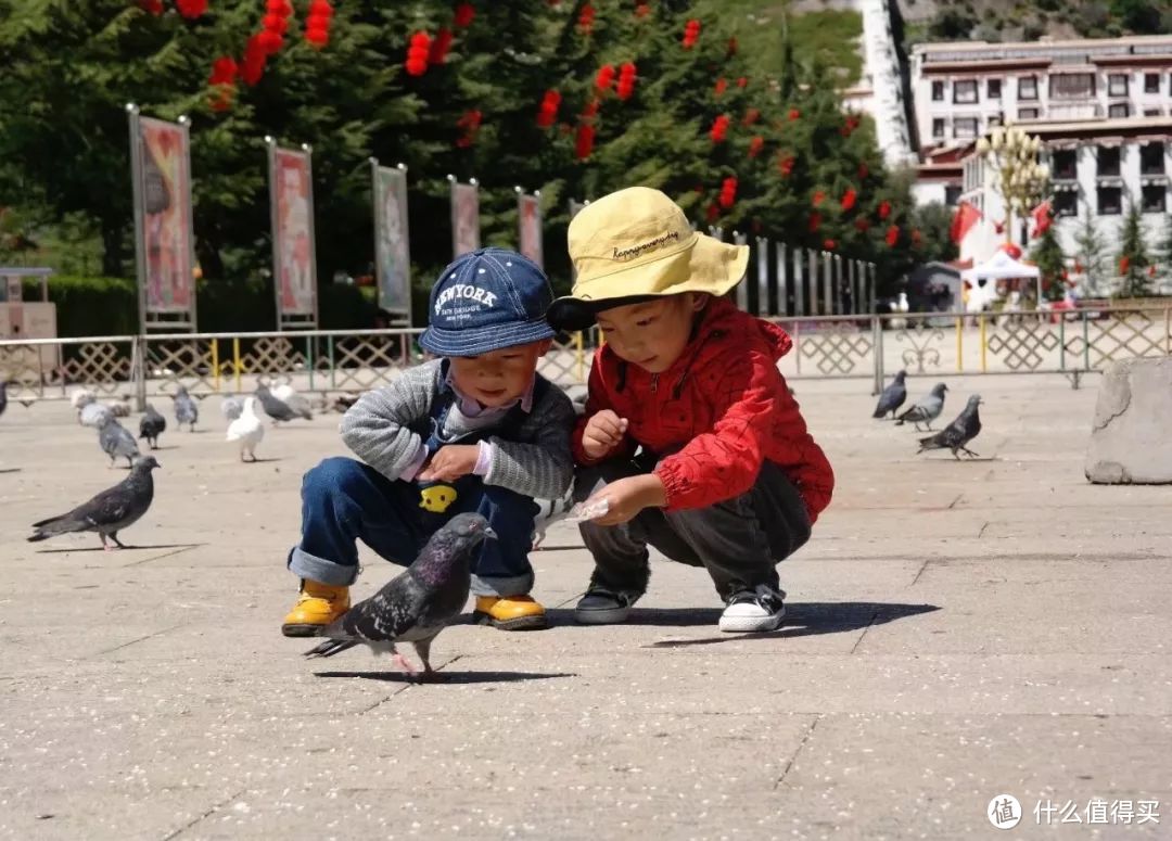 一文带你了解拉萨的美景与信仰