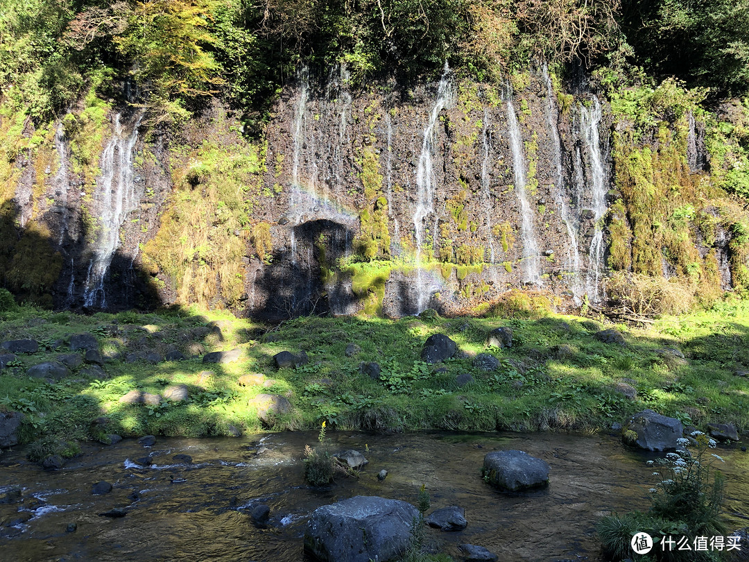 日本交通券推荐之三——富士山静冈mini周游券