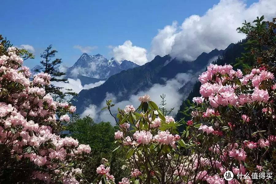 最详川西旅游介绍（最佳出游时间、行程推荐、必备品等）