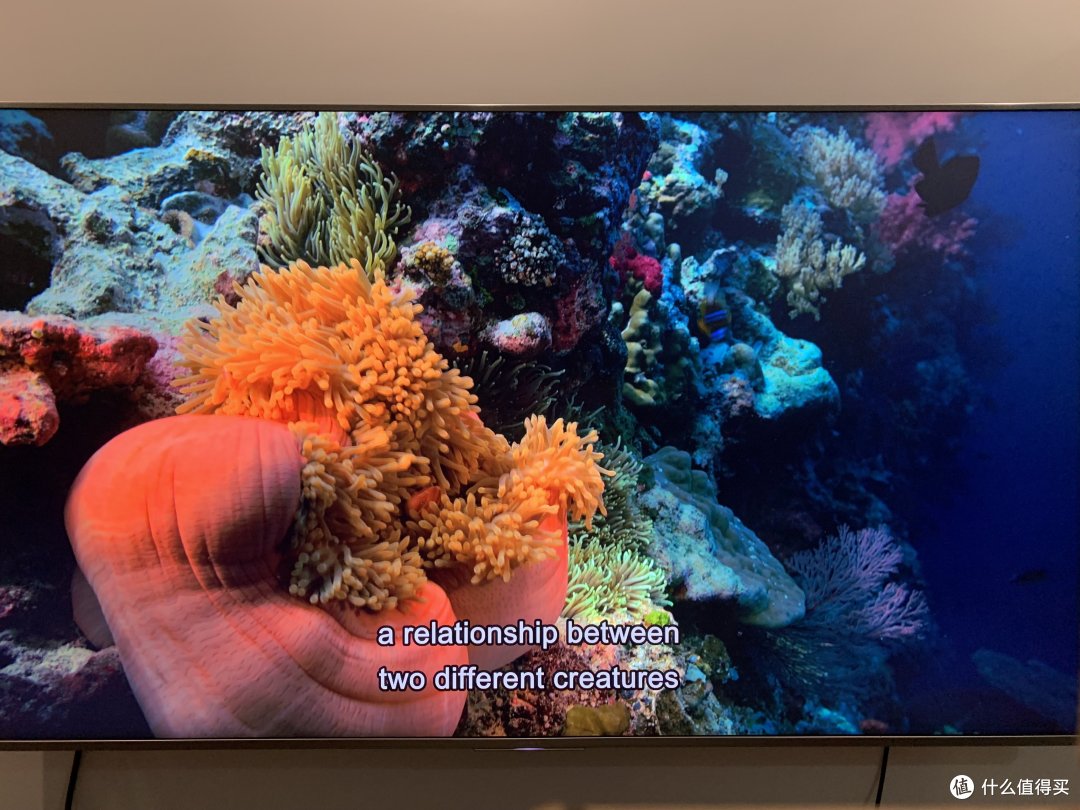 4K纪录片究竟有多少?珍藏好这份全球最全4K超清蓝光纪录片清单(第31-40部)