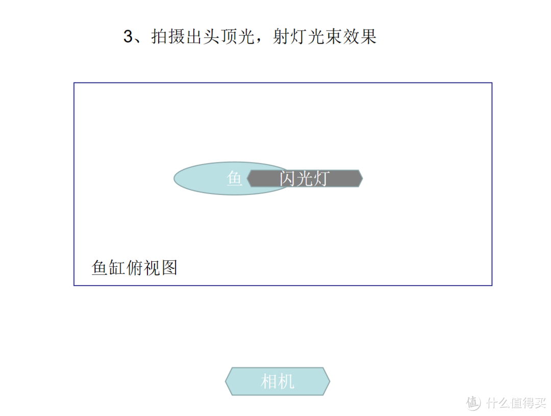 摄影新人经验分享---如何拍摄好那些漂亮的观赏鱼