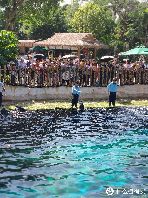 超漂亮的海豚湾，地下还有观赏点