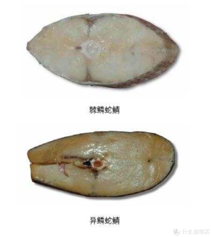 看到这两货走远点