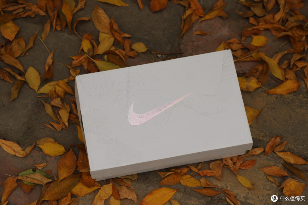 NIKE VAPORMAX 2019 玫粉 女子运动鞋