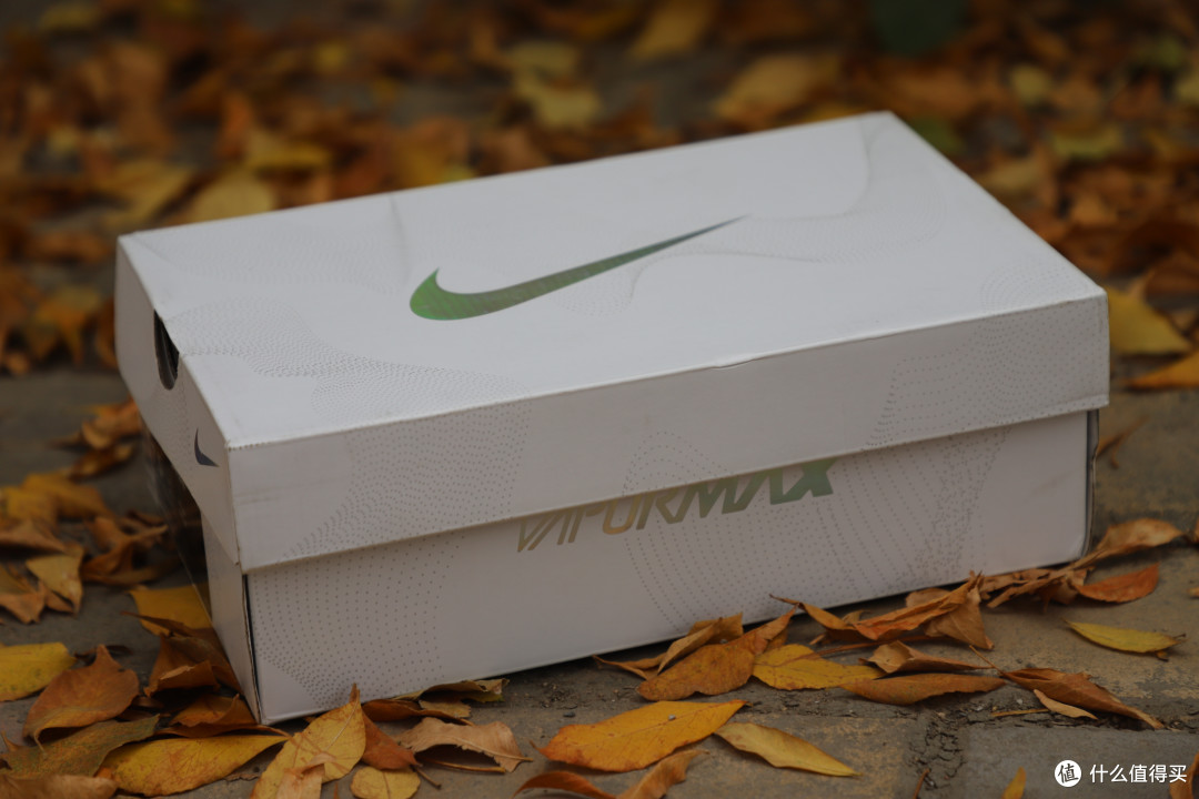 NIKE VAPORMAX 2019 玫粉 女子运动鞋