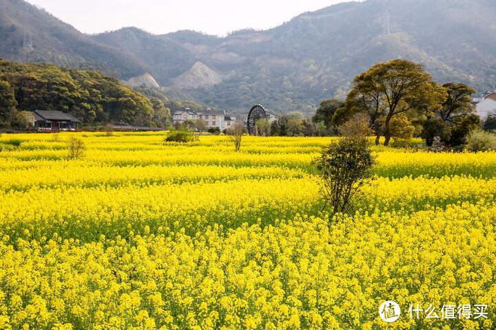 舟山宝藏地方，不仅景好海鲜更好，一份舟山旅游2020出行表快接收~