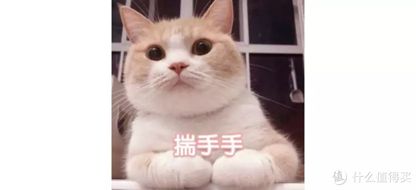 没听过的保险公司,真的可以相信吗