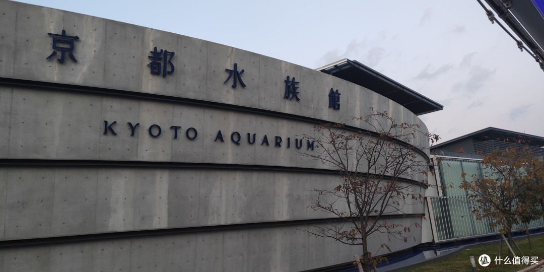 带着娃子去日本 之走马观花游记