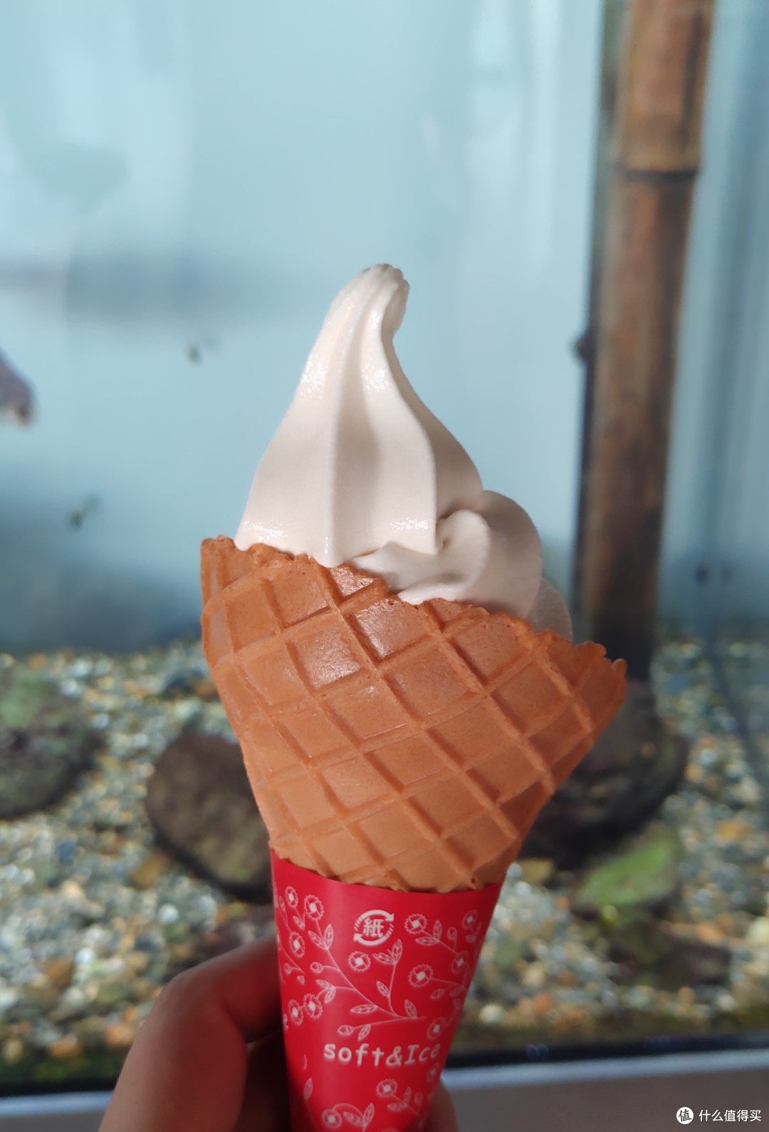 带着娃子去日本 之走马观花游记