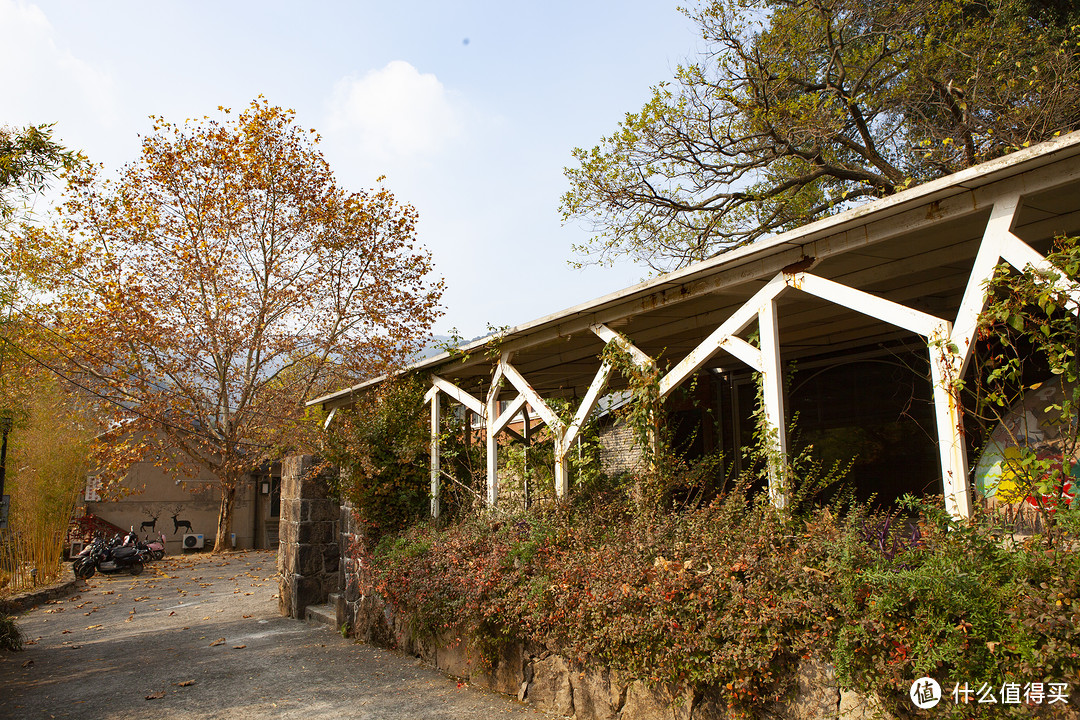 看红枫何必千里迢迢去日本？莫干山的秋天同样美！