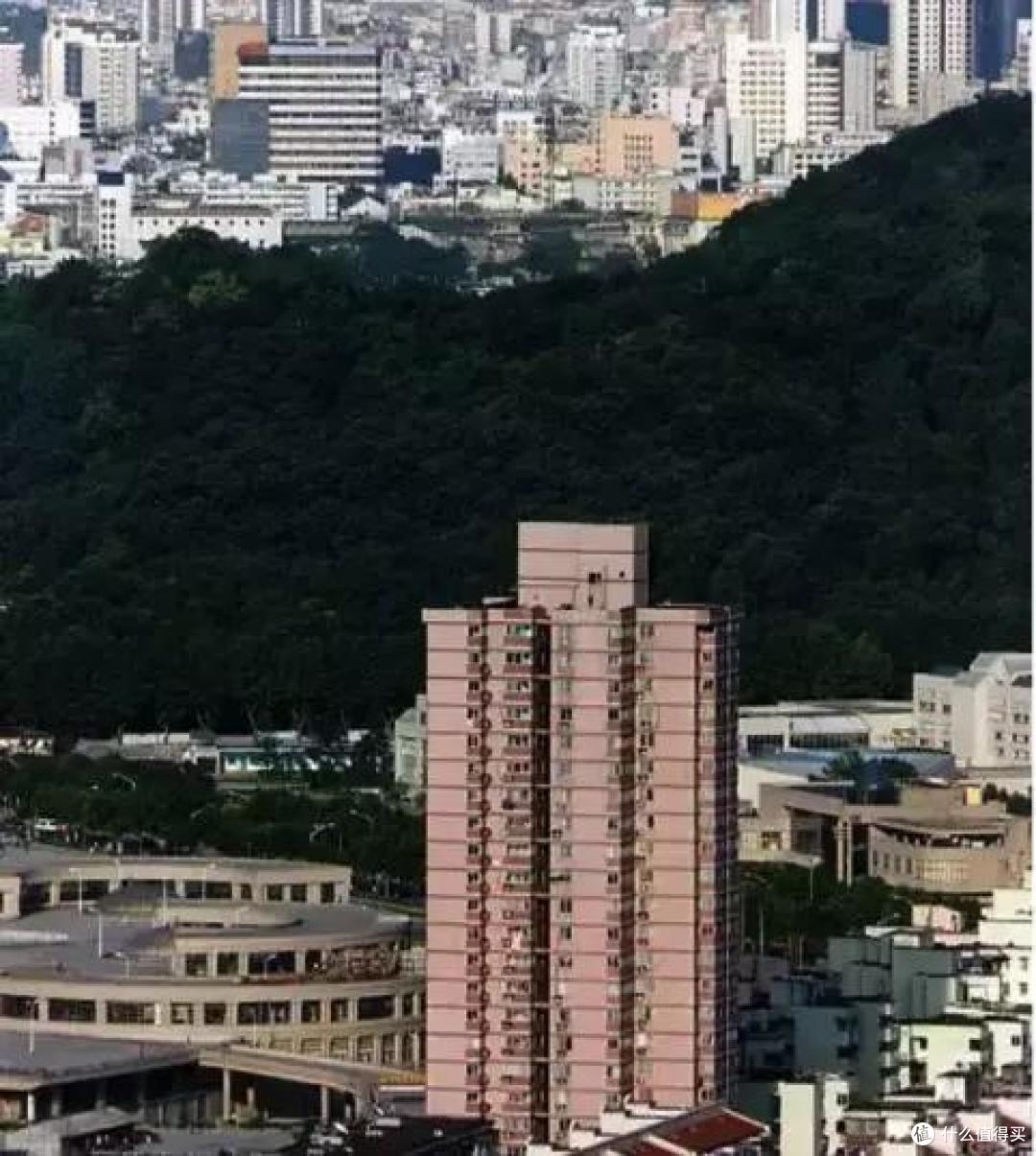 鹤立求是村的留博楼,与市区一山之隔