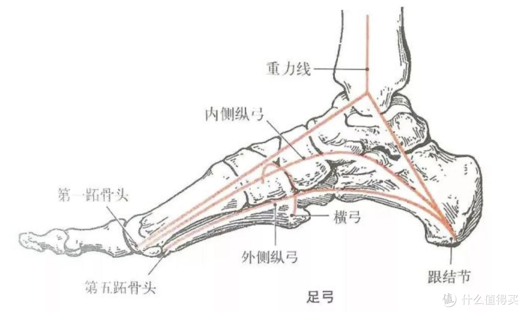 宝妈专属：孩子什么阶段该选什么鞋子？