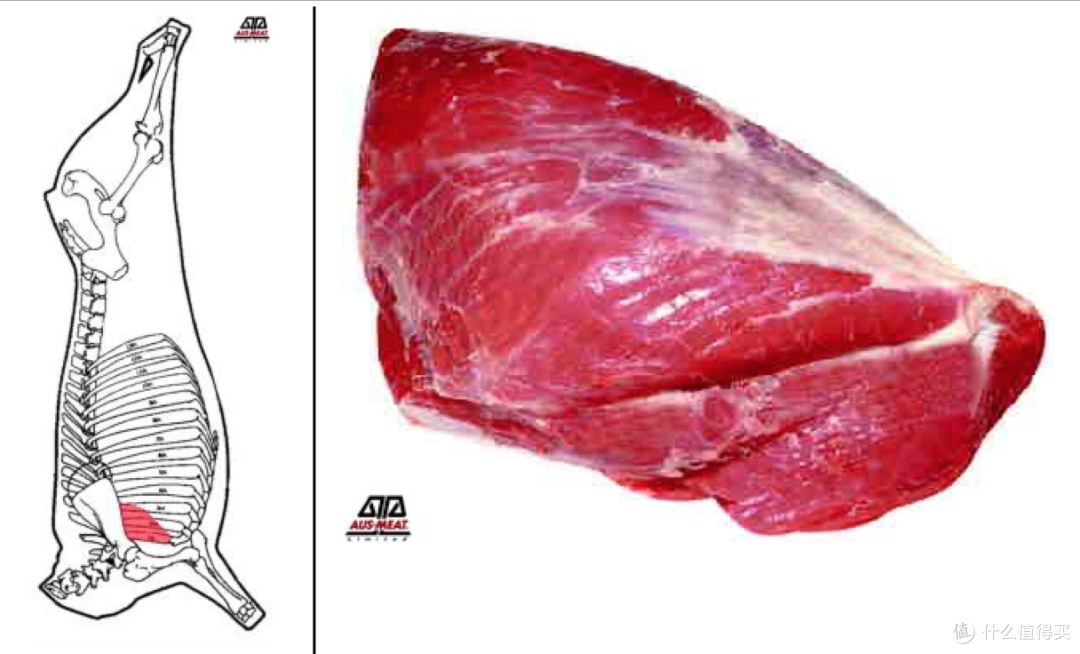 牛肉所有部位专业大解析 牛肉所有部位名称 什么值得买