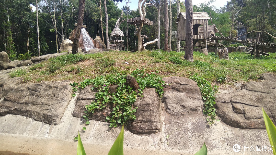 越南富国岛上的Safari动物园一日游