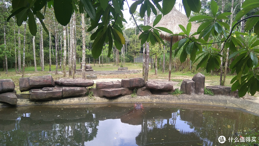 越南富国岛上的Safari动物园一日游