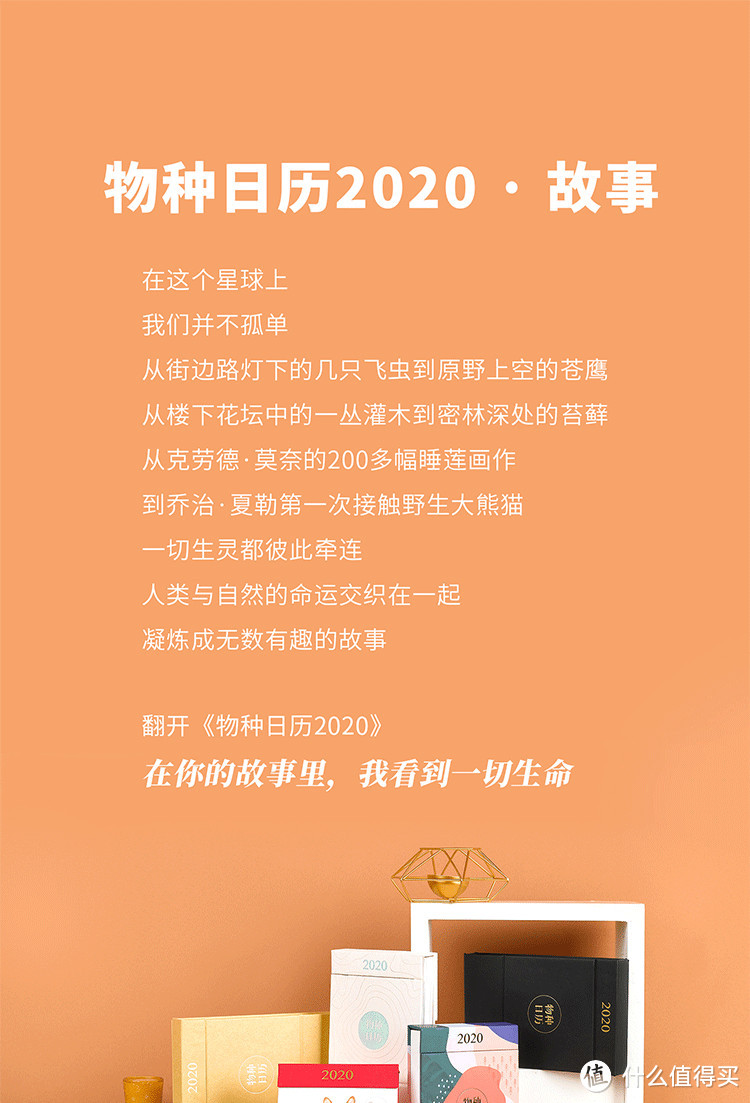 2020常见日历汇总，总有一款适合你。