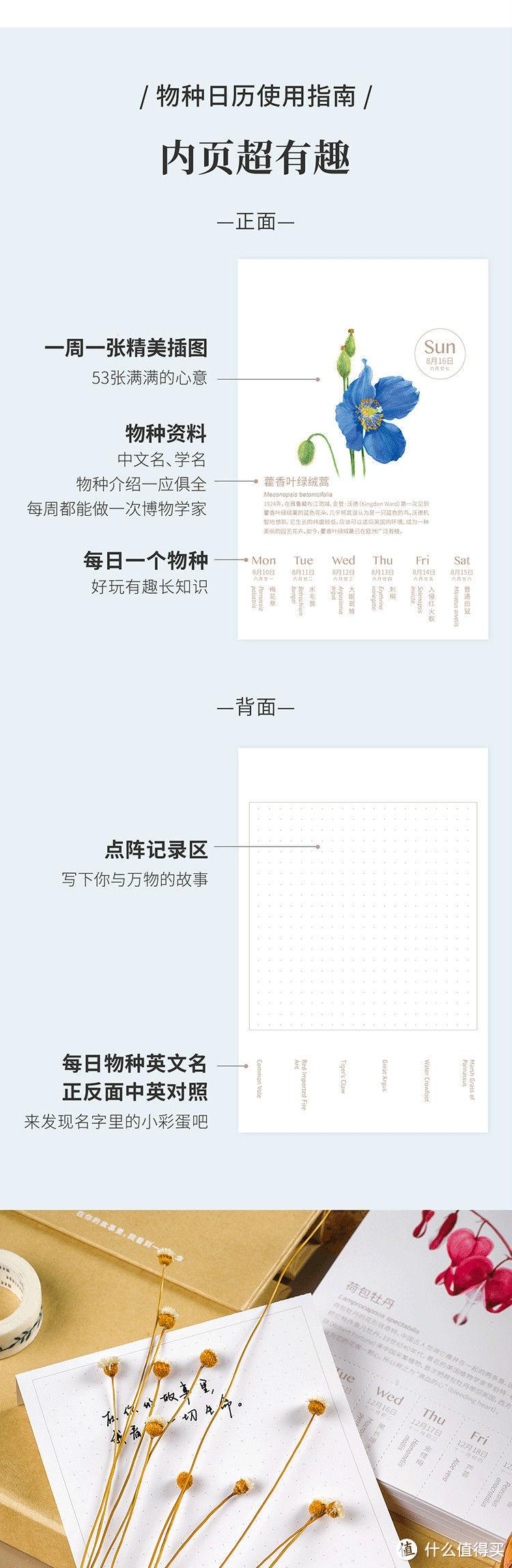 2020常见日历汇总，总有一款适合你。