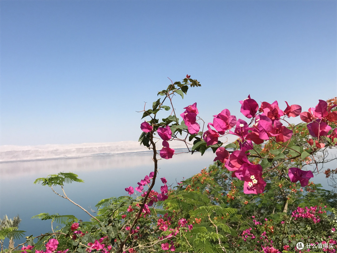 小花