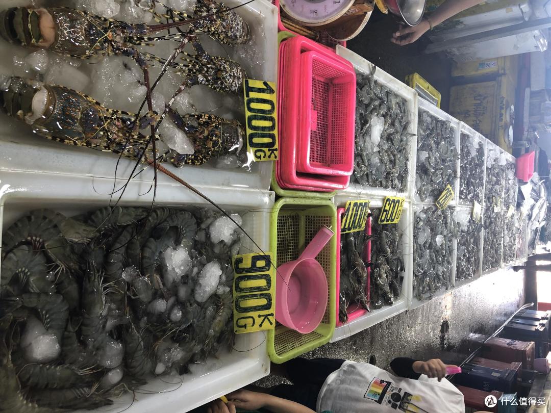 喂老虎喝奶→买龙虾遇坑→海钓+赶海→W酒店下午茶