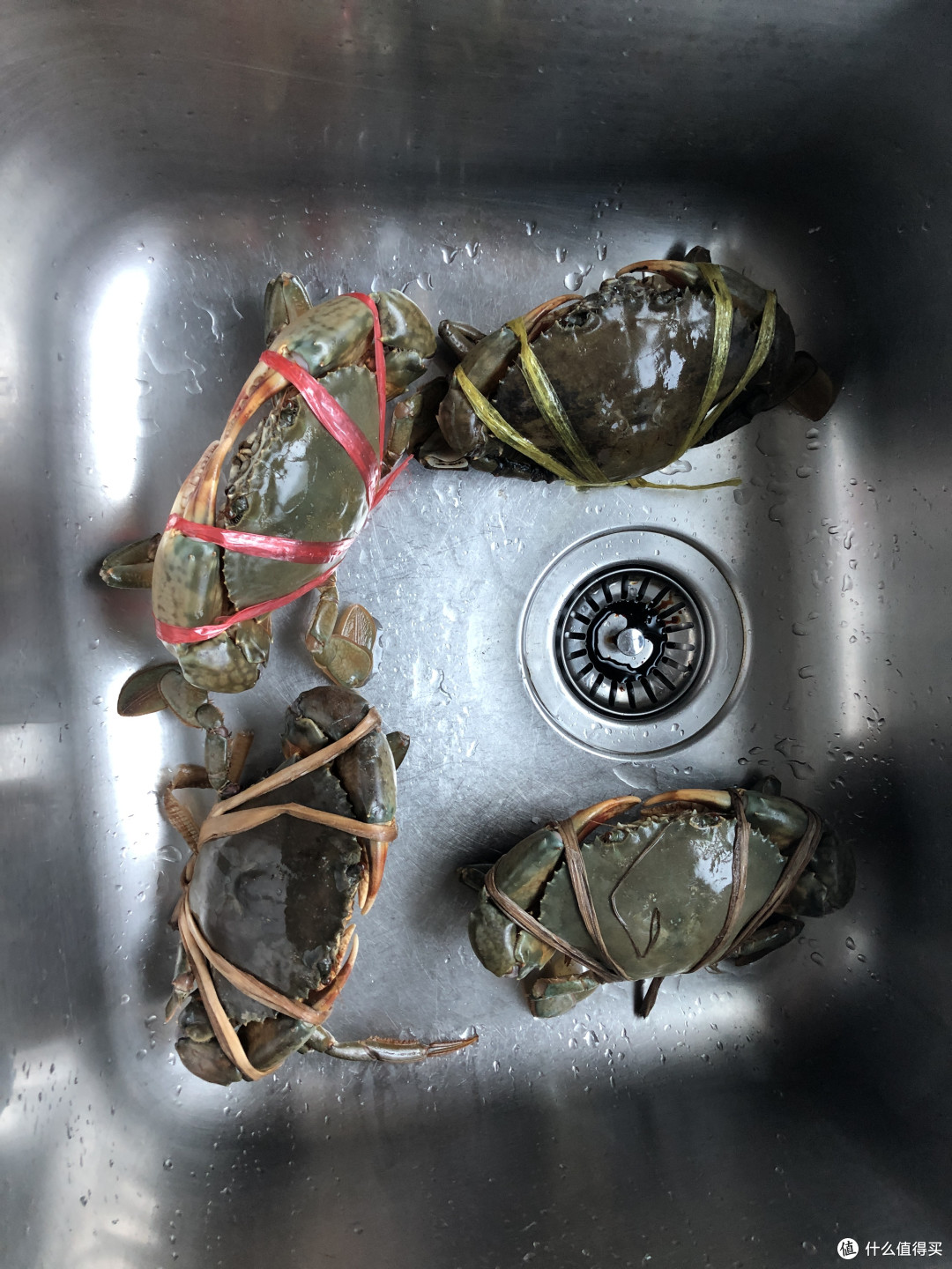 喂老虎喝奶→买龙虾遇坑→海钓+赶海→W酒店下午茶