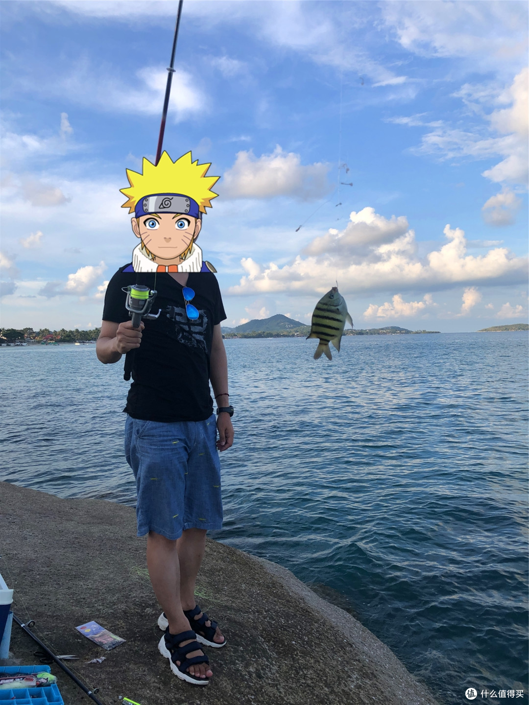 喂老虎喝奶→买龙虾遇坑→海钓+赶海→W酒店下午茶