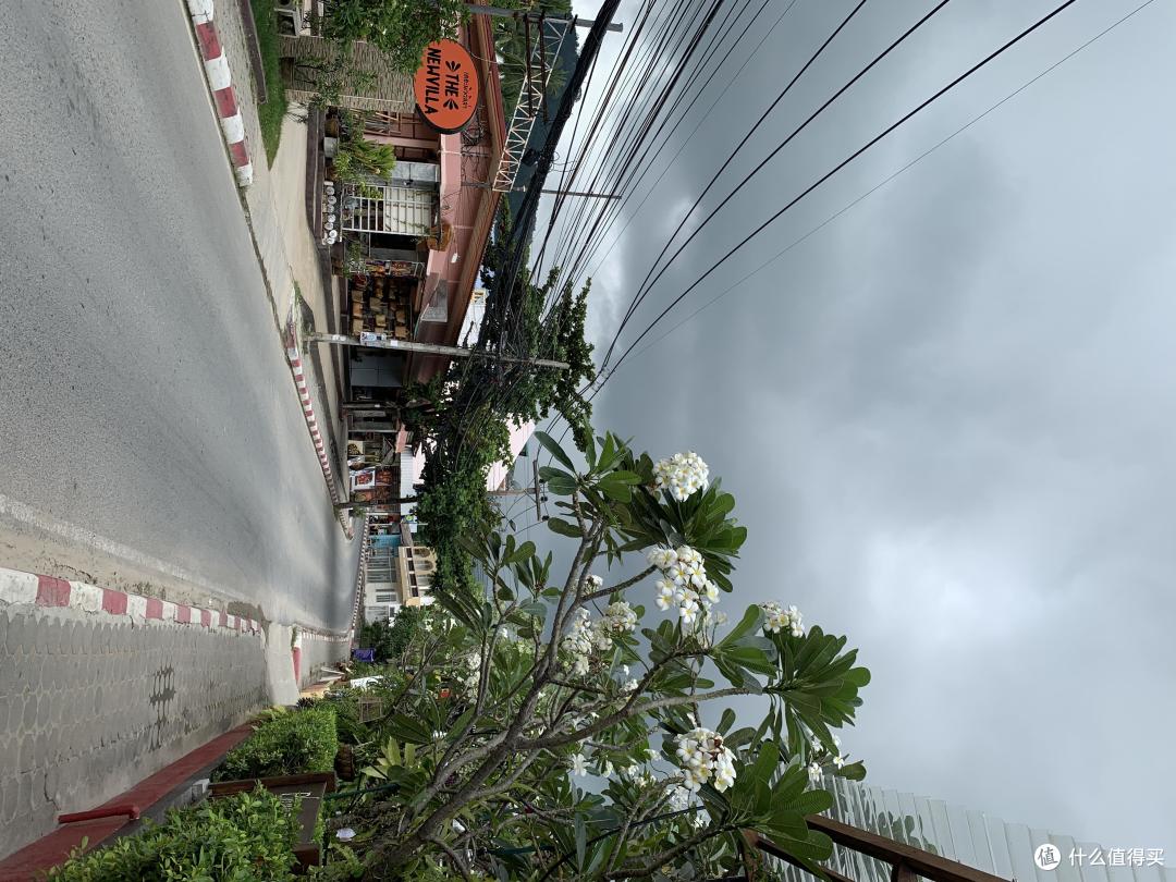 喂老虎喝奶→买龙虾遇坑→海钓+赶海→W酒店下午茶