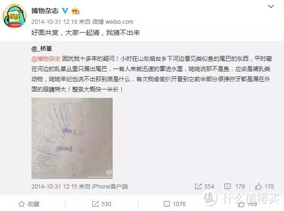 网友灵魂画