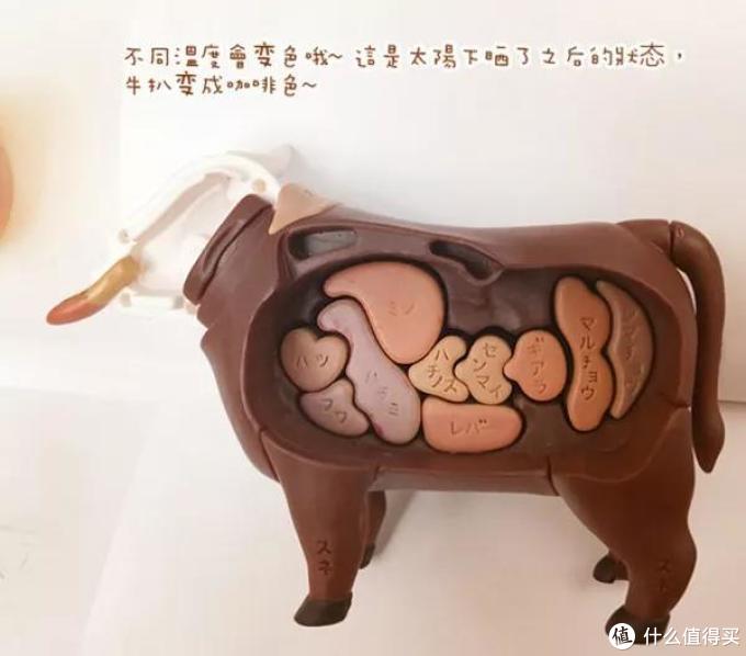 看完国外的益智玩具,羡慕哭了