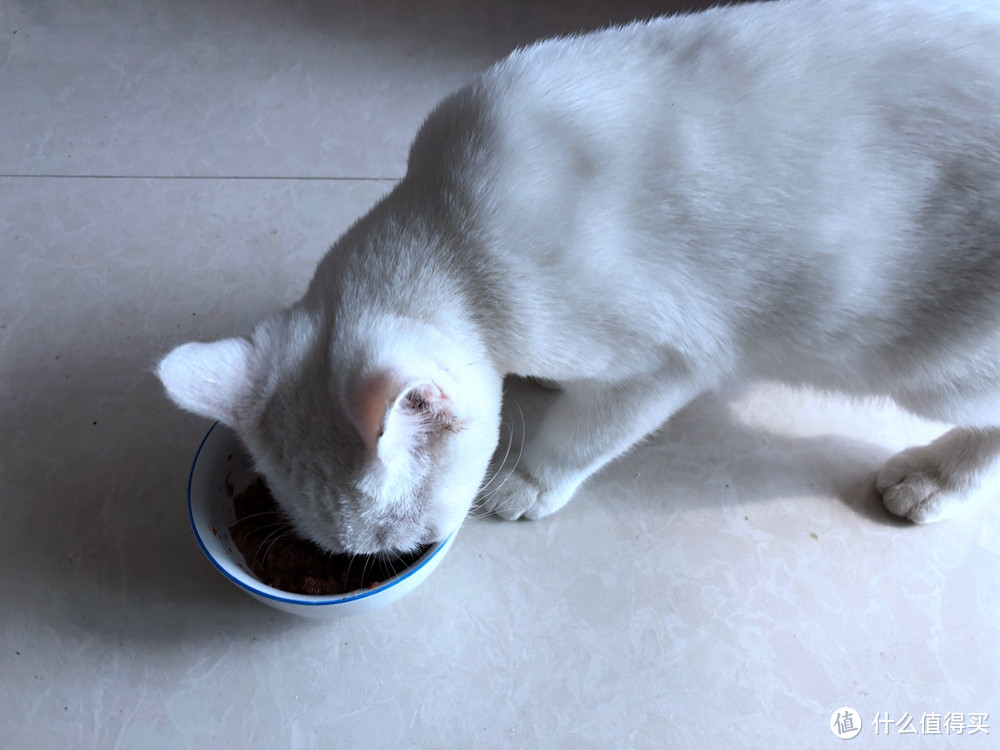 猫咪爱吃，也是喂药神器-伟嘉 泰国进口猫主食罐头 吞拿鱼味85g袋装