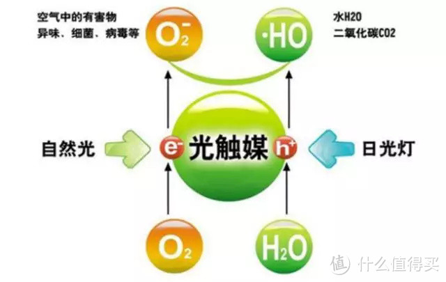 装修材料新宠，传说中能去甲醛的硅藻泥，真的那么神奇？