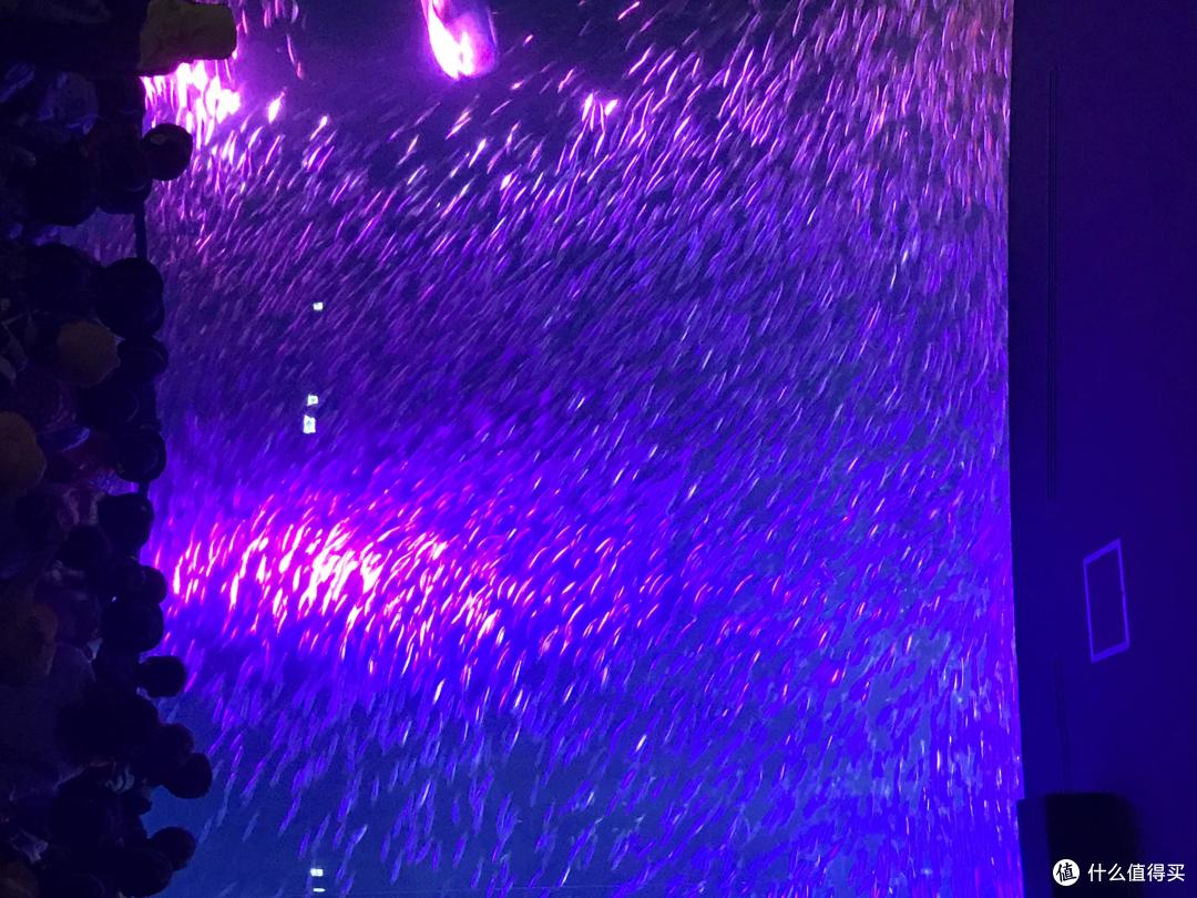 在名古屋过的六岁生日